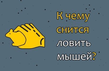 До чого сниться ловити мишей — 40 значень сновидіння