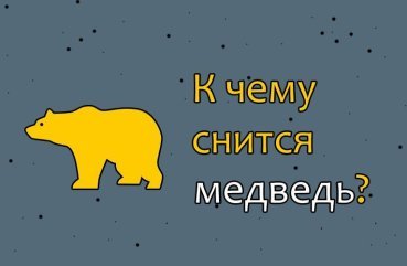 Що значить сон, в якому бачиш ведмедя — 40 тлумачень