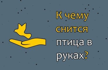 До чого сниться птах в руках — 30 значень сну