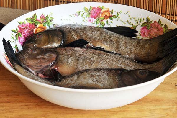 Лінь порційний в клярі