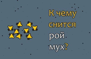Що значить сон про рій мух — 30 різних трактувань по сонникам