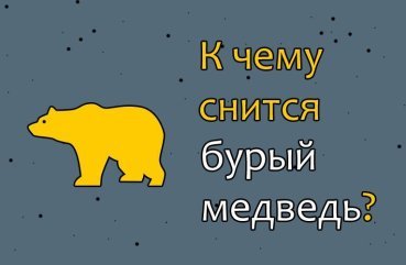 Що означає бачити бурого ведмедя у сні — тлумачення по 35 сонникам