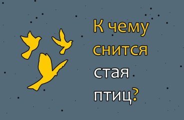 Що значить сон про зграю птахів – 43 популярних значення