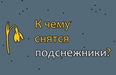 Як тлумачити сон про підсніжники — 42 різних значень по сонникам Як тлумачити сон про підсніжники — 42 різних значень по сонникам