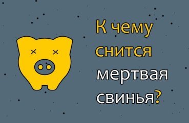 Як розшифрувати сон про мертву свиню — 40 точних значень