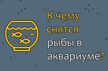 Що означає сон про акваріумних рибок — 35 тлумачень