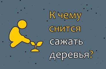 Що означає якщо сниться садити дерева — 34 точних трактування