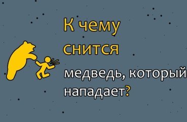 До чого сниться напад ведмедя — значення сну по сонникам 45
