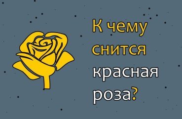 Як тлумачити сон про червоних трояндах — 44 точних значення