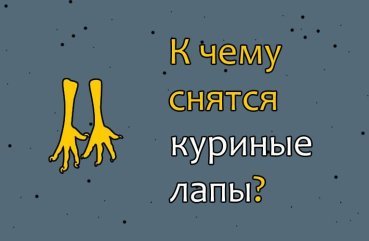 Що означає сон про курячі лапи — 38 докладних значень