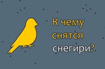 Як тлумачити сон про снігурів — 25 значень за різними сонникам
