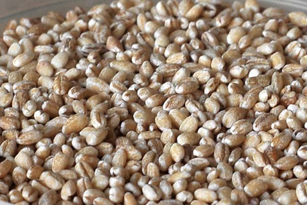 Лінь порційний в клярі