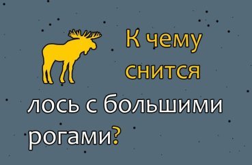 Що означає сон про лося з великими рогами — 40 тлумачень за різними сонникам