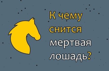 Як трактувати сон про мертвого коня — 42 точних значення
