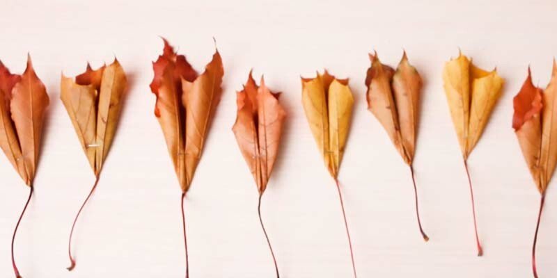 Вироби з природного матеріалу на тему осінь для дитячого садка і школи Вироби з природного матеріалу на тему осінь для дитячого садка і школи