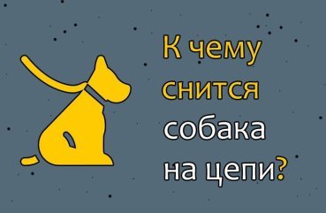 До чого сниться собака на ланцюгу — 42 тлумачення за різними сонникам