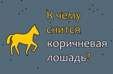 Що означає побачити в сні коня коричневого кольору — ТОП 35 значень Що означає побачити в сні коня коричневого кольору — ТОП 35 значень