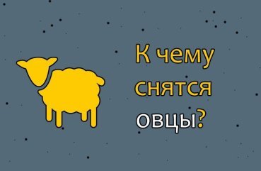 Як трактувати сон про овець — 40 значень