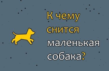 Що означає, коли сниться маленька собака — докладні трактування по сонникам 34
