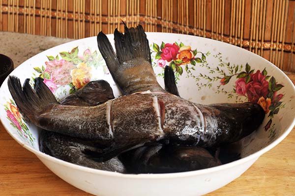 Лінь порційний в клярі