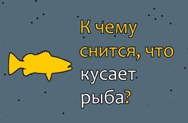 Що означає, коли сниться, що кусає риба — 42 розшифровки