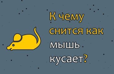 Що означає сон про укус миші — 39 тлумачень