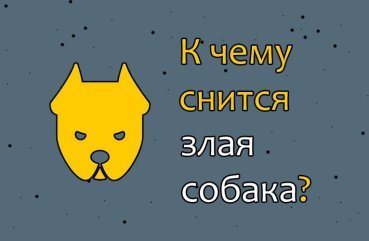 Як трактувати сновидіння про злий собаці — 40 точних значень