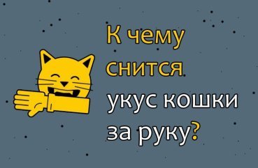 До чого сниться сон, в якому кішка вкусила за руку — розшифровка сну по сонникам 40