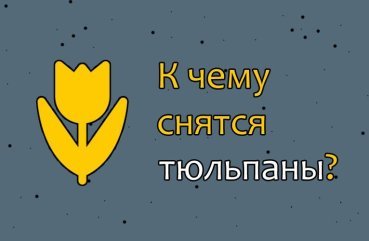 Як тлумачити сон про тюльпани — 26 точних значень