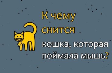 До чого сниться кішка, зловила миша — тлумачення сну по соннику 41