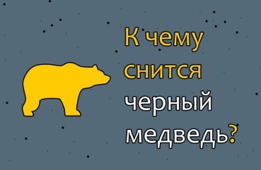 Як тлумачити сон про чорного ведмедя — 35 різних значень по сонникам