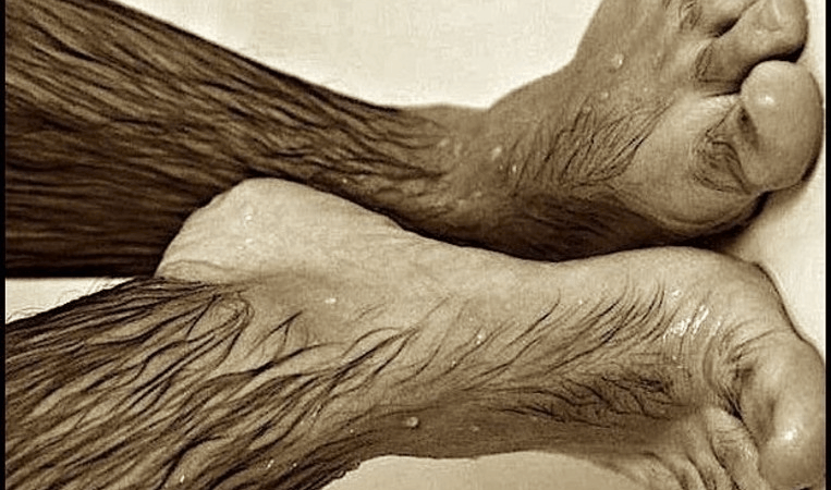 Що може означати сон про волохатих ногах — 30 значень