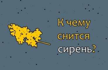 Як тлумачити сновидіння про сирень — 32 значення сну