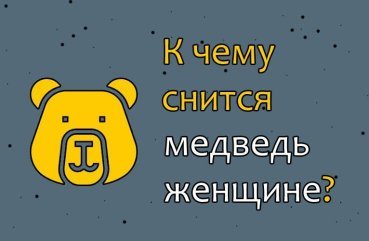 Що означає сон про ведмедя — 32 значення для жінки