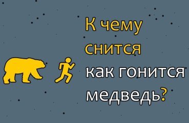 До чого сниться, що за тобою уві сні женеться ведмідь — тлумачень по соннику 41