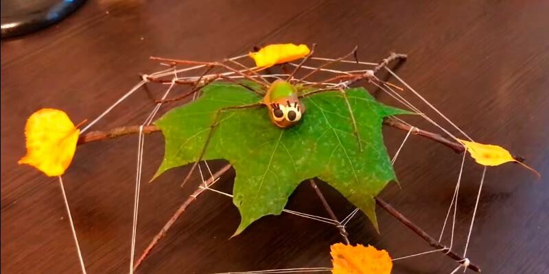 Вироби з природного матеріалу на тему осінь для дитячого садка і школи