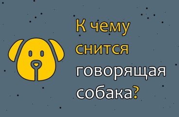 Як розшифрувати сон про що говорить собаці — 42 значення