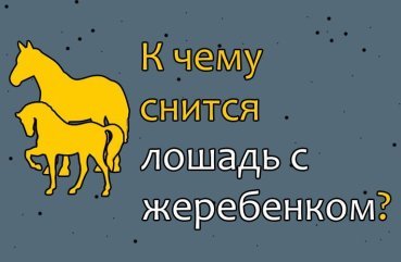 До чого сниться кінь з лошам — 38 трактувань сну