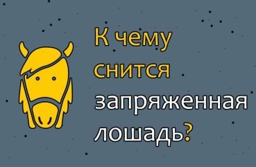 Що значить сновидіння про запряжений кінь — 42 тлумачення Що значить сновидіння про запряжений кінь — 42 тлумачення