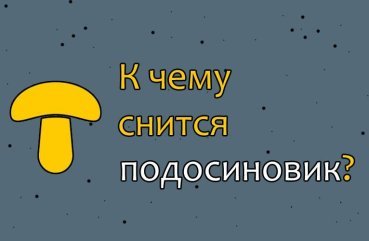 Що означає сон про підосичники — 45 трактувань