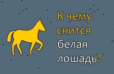 До чого сниться білий кінь або кінь — 30 тлумачення сну