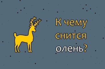 Як трактувати сон про оленя — 41 докладний значення