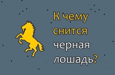 Що означає побачити в сні чорного коня — ТОП 42 значення по сонникам