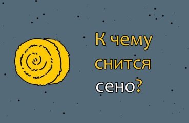 Як трактувати сон про сіні — 44 точних значення