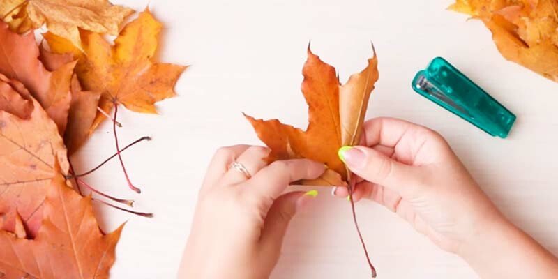 Вироби з природного матеріалу на тему осінь для дитячого садка і школи Вироби з природного матеріалу на тему осінь для дитячого садка і школи