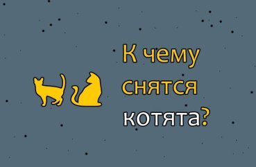 Що означає бачити кошенят у сні — 37 значень