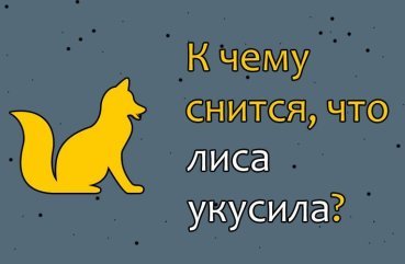 До чого сниться, що вкусила лисиця — 36 точних значень сну