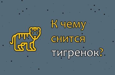 Що означає сон про тигреня — значення по сонникам 32