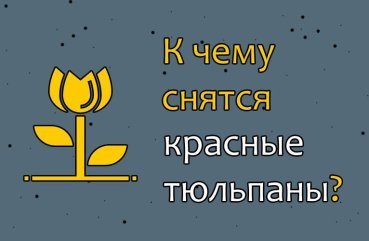 Як тлумачити сон про червоні тюльпани — 44 значення по сонникам