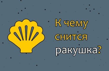Що значить сон про черепашки — 28 трактувань по сонникам